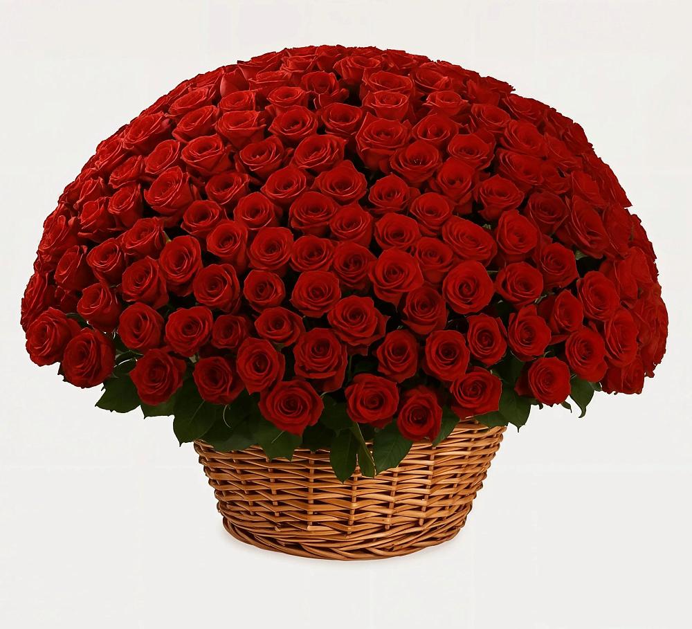 Премиум букет из: Розы в Звёздном Городке