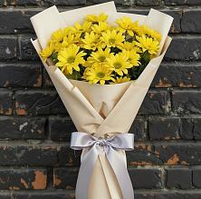 Букет цветов из:  Хризантемы #REPLACE_PRED# Звёздном Городке