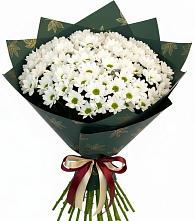 Букет цветов из:  Хризантемы #REPLACE_PRED# Звёздном Городке