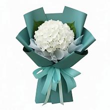 Букет цветов из:  Гортензия #REPLACE_PRED# Звёздном Городке